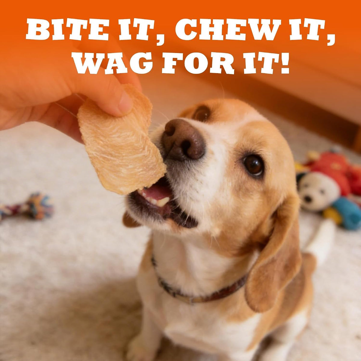 1.1 Pound Dehydrated Chicken Jerky Dog Treats, Single Ingredient - Petguard