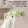 Cat Grooming Brush Wall Mount, Cat Self Groomer Cat Corner Face Scratcher, Cat Self Groomer Corner, Wall Corner Massage Comb for Cat and Dog - Petguard