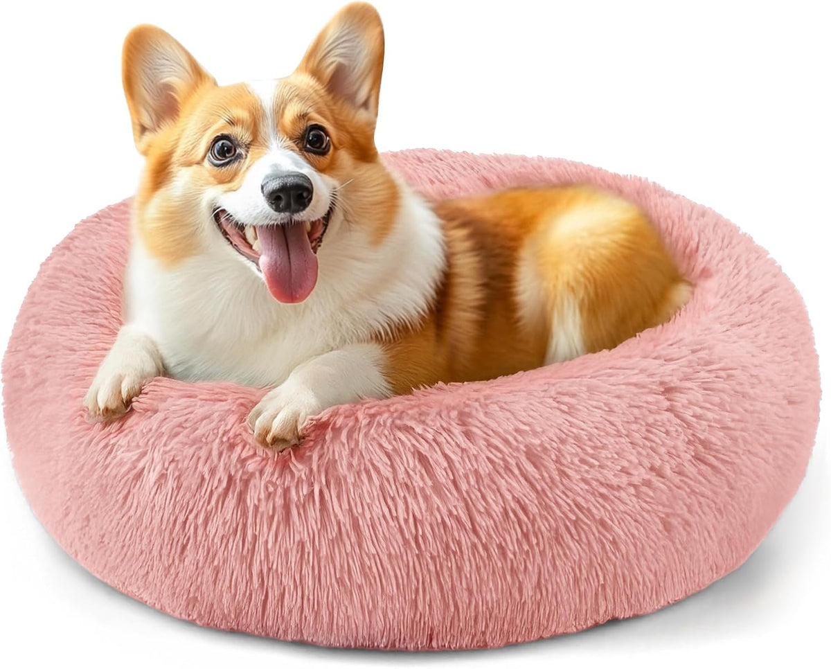 Dog & Cat Bed, 20In Cat Beds for Indoor Cats (Black) - Petguard