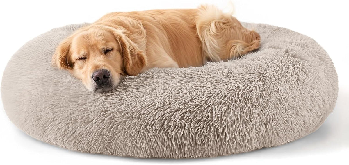 Dog & Cat Bed, 20In Cat Beds for Indoor Cats (Black) - Petguard