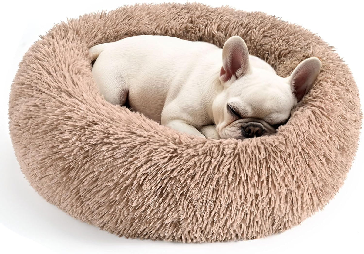 Dog & Cat Bed, 20In Cat Beds for Indoor Cats (Black) - Petguard