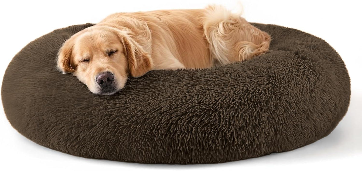 Dog & Cat Bed, 20In Cat Beds for Indoor Cats (Black) - Petguard