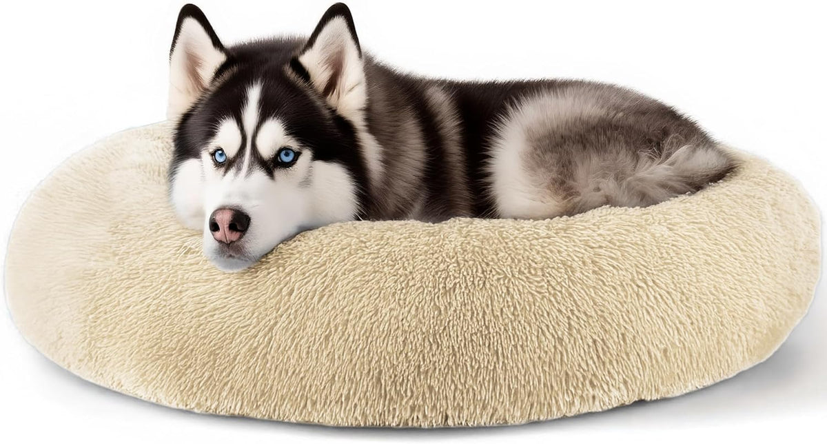 Dog & Cat Bed, 20In Cat Beds for Indoor Cats (Black) - Petguard