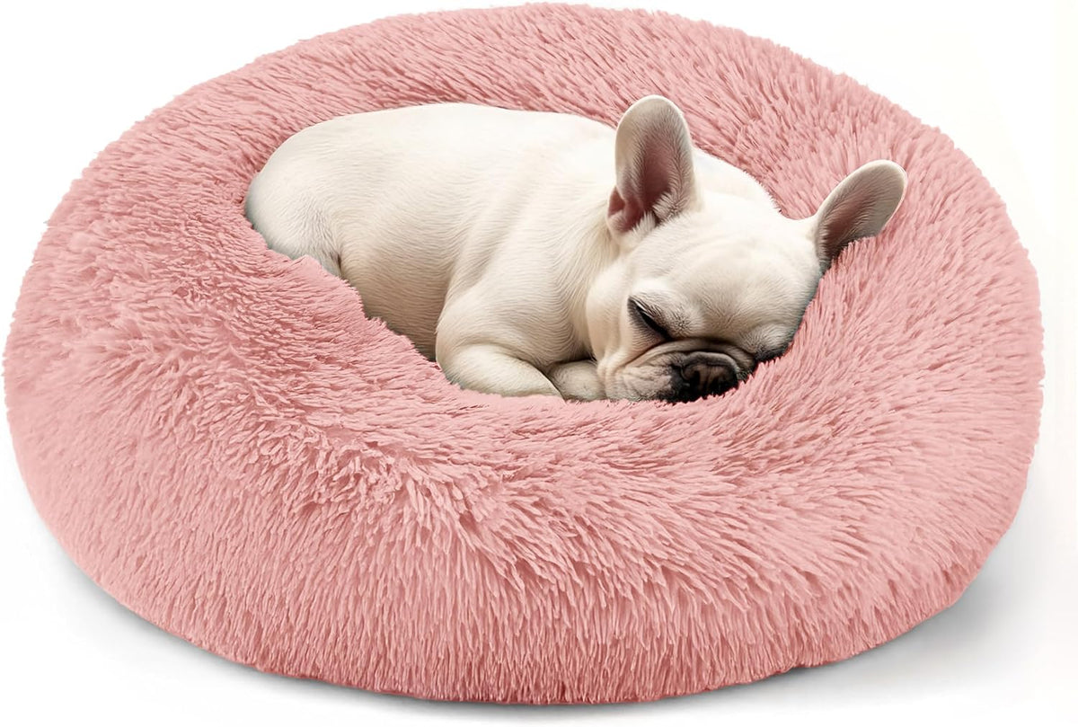 Dog & Cat Bed, 20In Cat Beds for Indoor Cats (Black) - Petguard