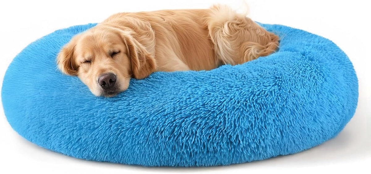 Dog & Cat Bed, 20In Cat Beds for Indoor Cats (Black) - Petguard