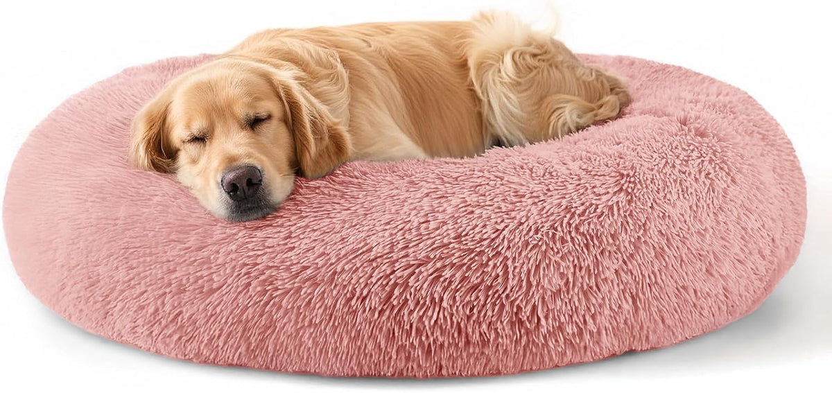 Dog & Cat Bed, 20In Cat Beds for Indoor Cats (Black) - Petguard