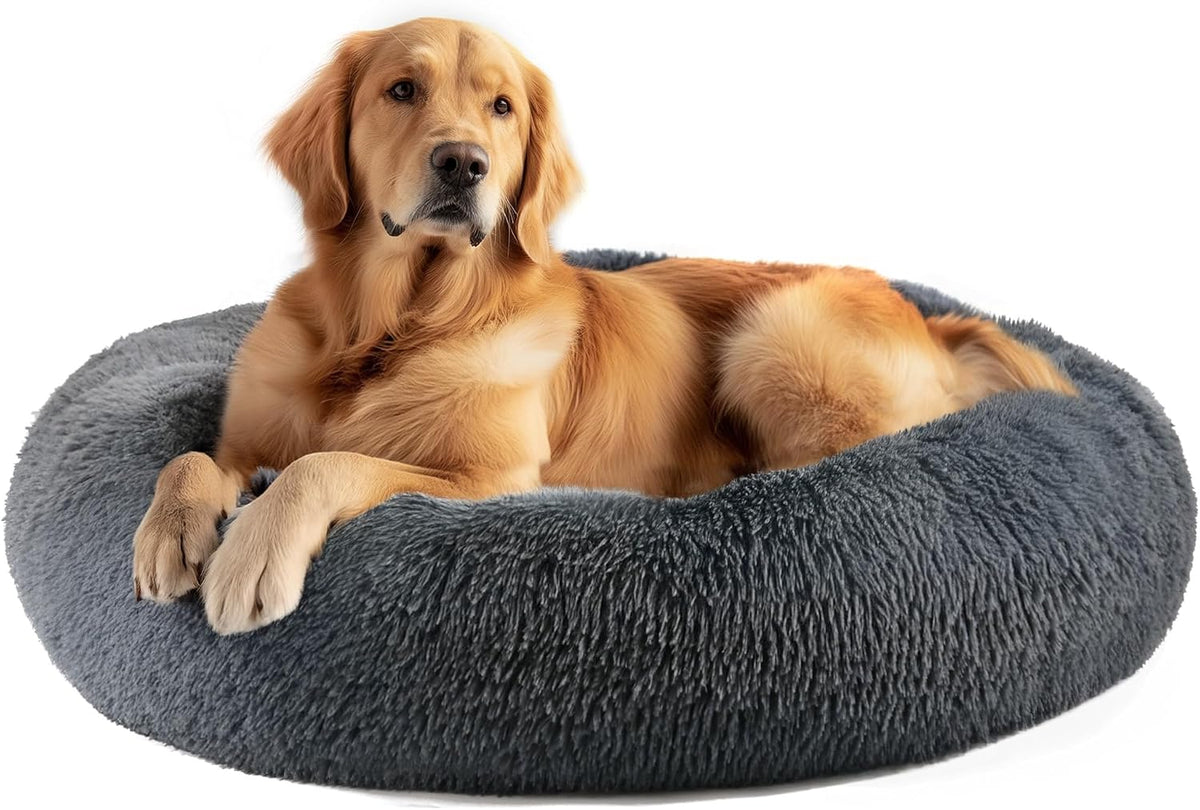 Dog & Cat Bed, 20In Cat Beds for Indoor Cats (Black) - Petguard