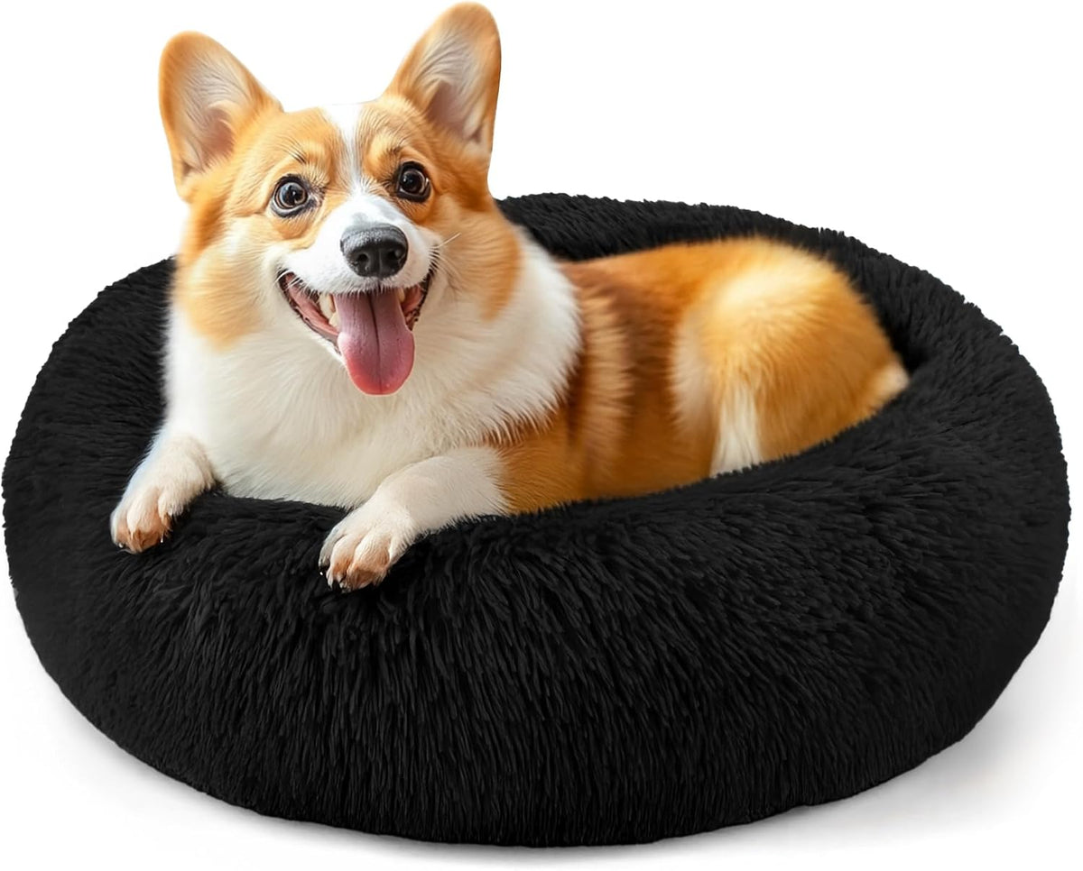 Dog & Cat Bed, 20In Cat Beds for Indoor Cats (Black) - Petguard
