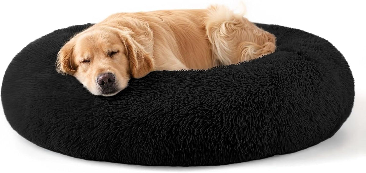 Dog & Cat Bed, 20In Cat Beds for Indoor Cats (Black) - Petguard
