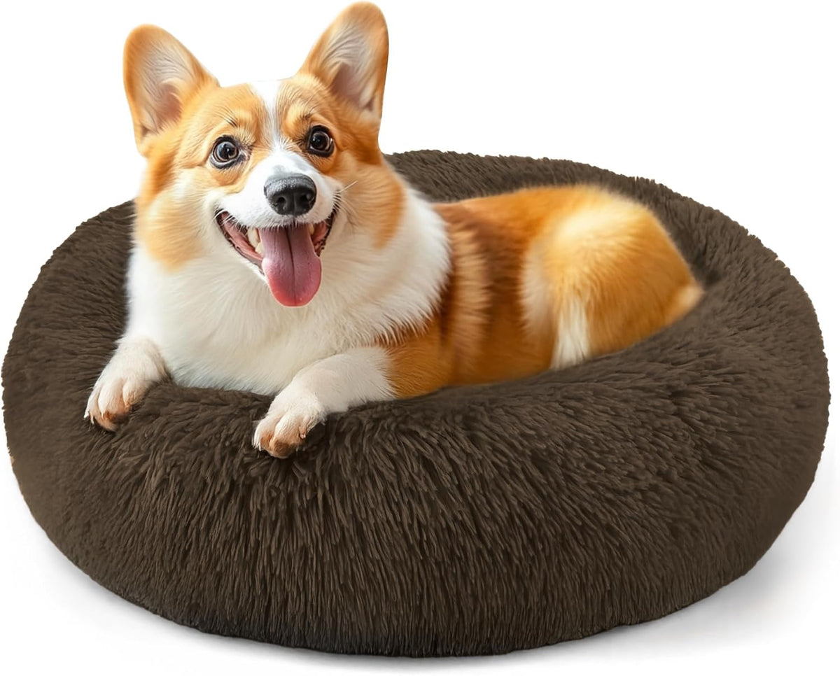 Dog & Cat Bed, 20In Cat Beds for Indoor Cats (Black) - Petguard