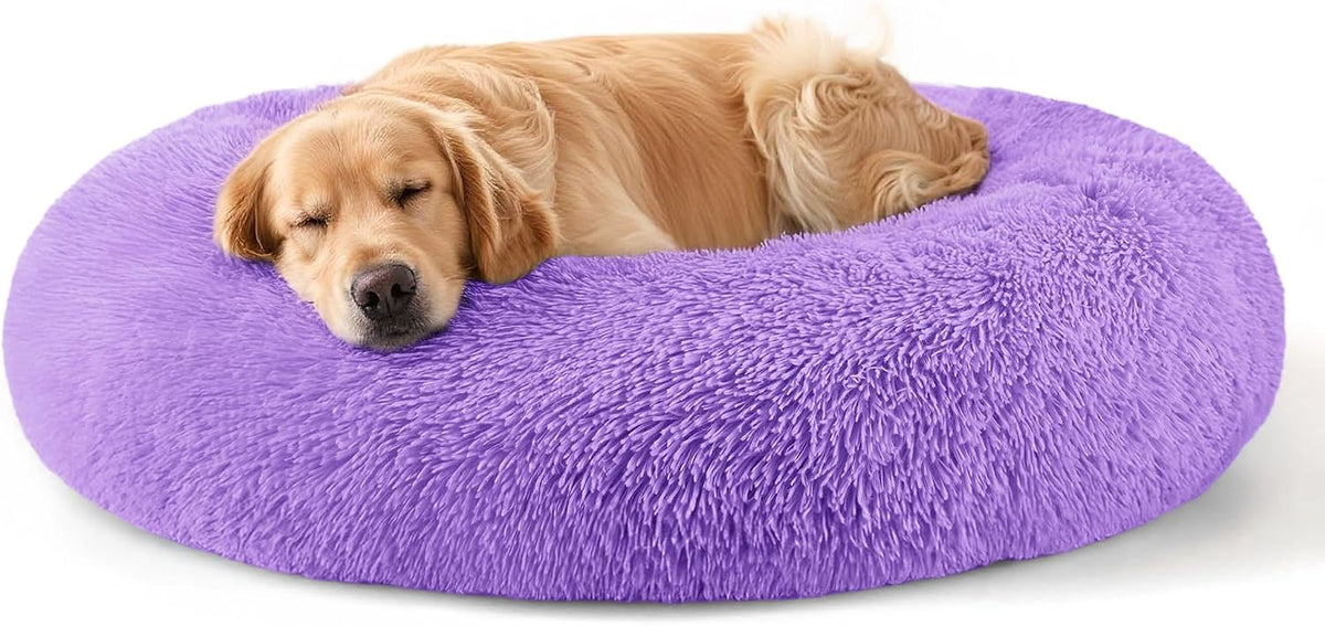 Dog & Cat Bed, 20In Cat Beds for Indoor Cats (Black) - Petguard