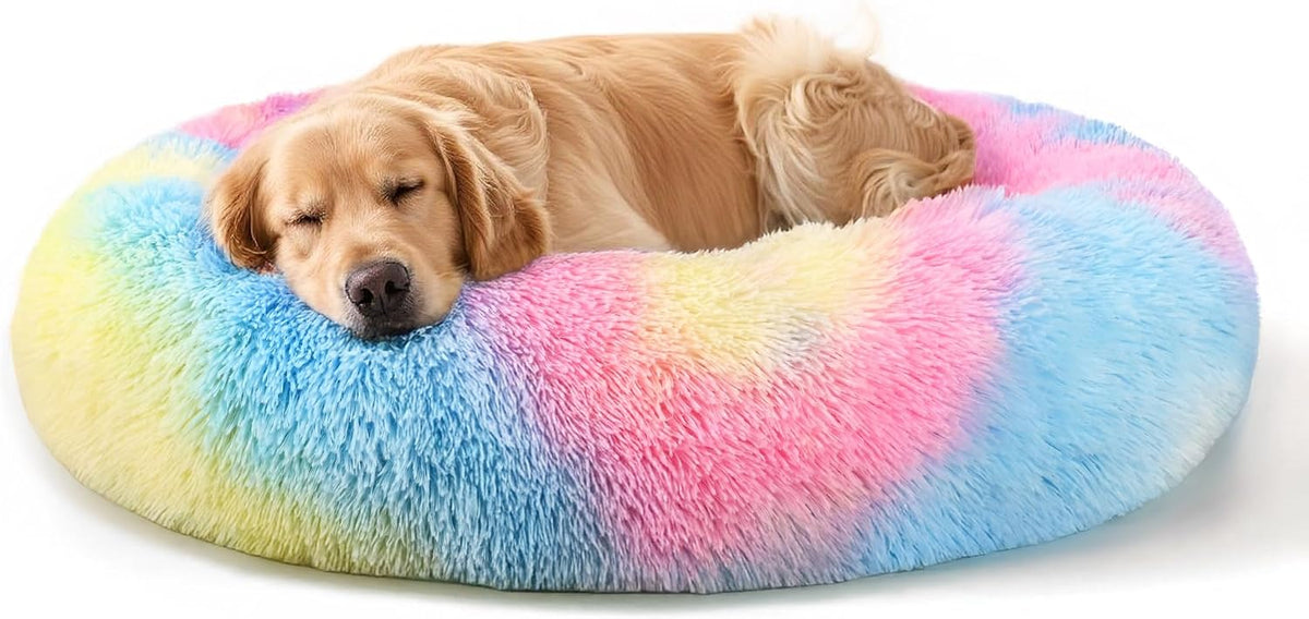 Dog & Cat Bed, 20In Cat Beds for Indoor Cats (Black) - Petguard