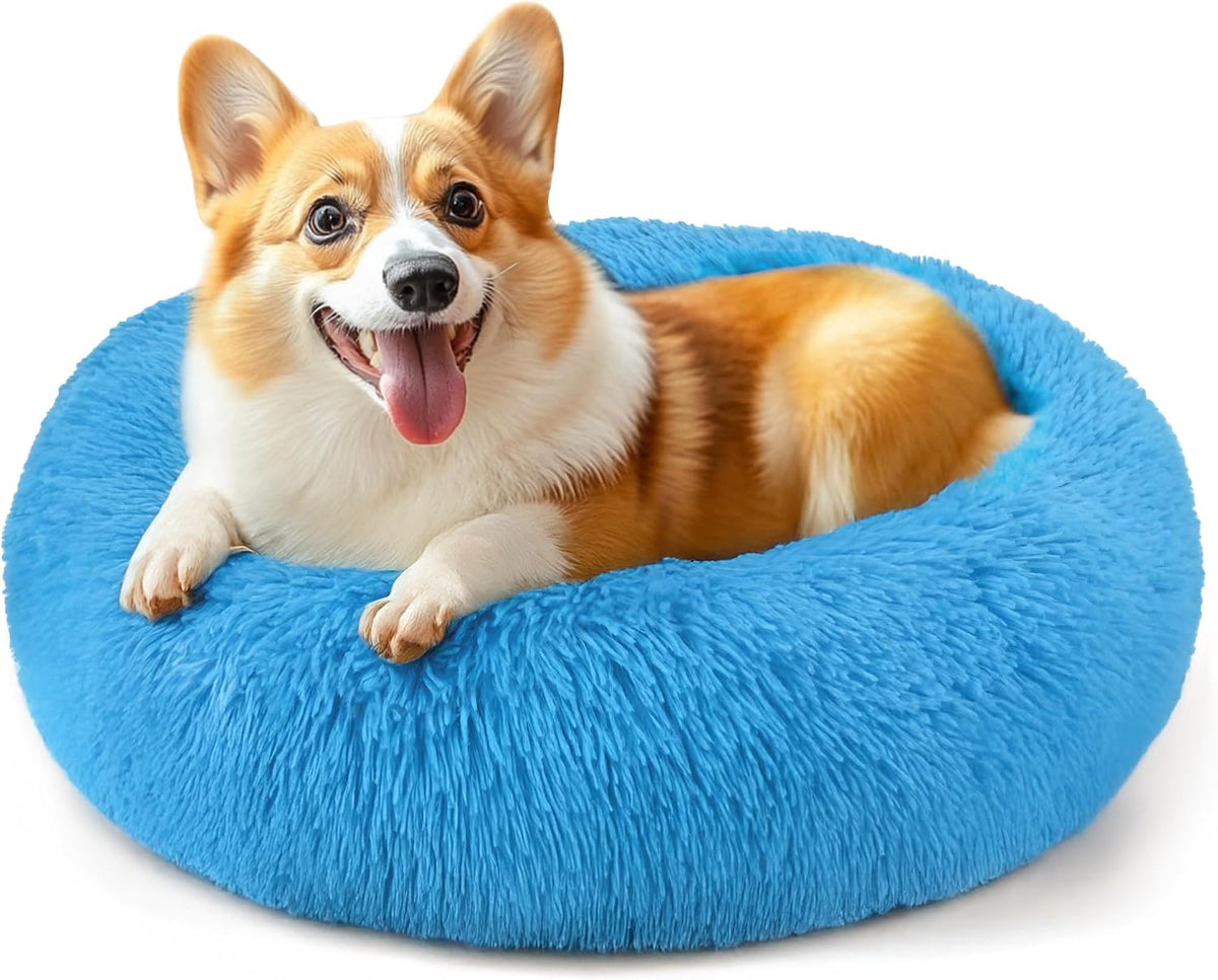 Dog & Cat Bed, 20In Cat Beds for Indoor Cats (Black) - Petguard