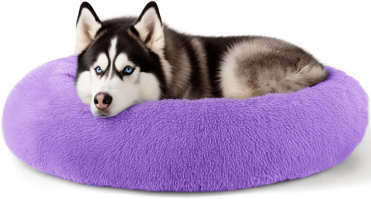 Dog & Cat Bed, 20In Cat Beds for Indoor Cats (Black) - Petguard