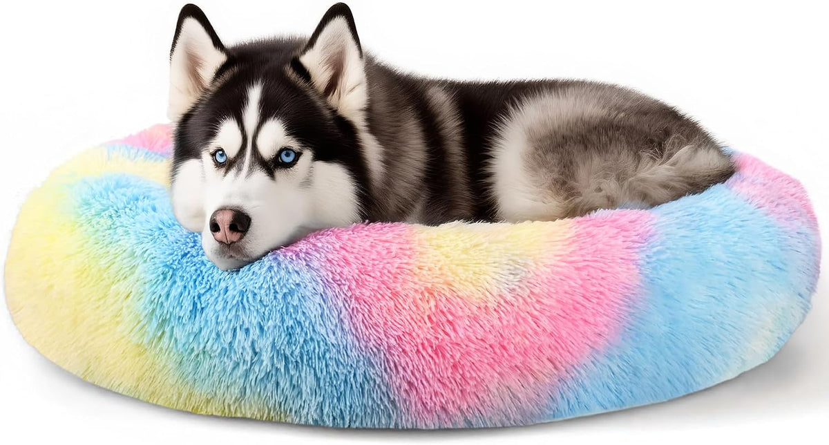 Dog & Cat Bed, 20In Cat Beds for Indoor Cats (Black) - Petguard