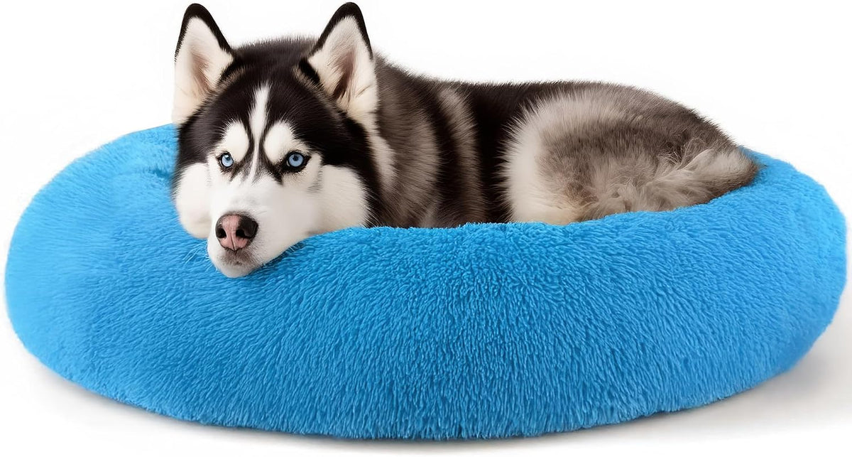 Dog & Cat Bed, 20In Cat Beds for Indoor Cats (Black) - Petguard