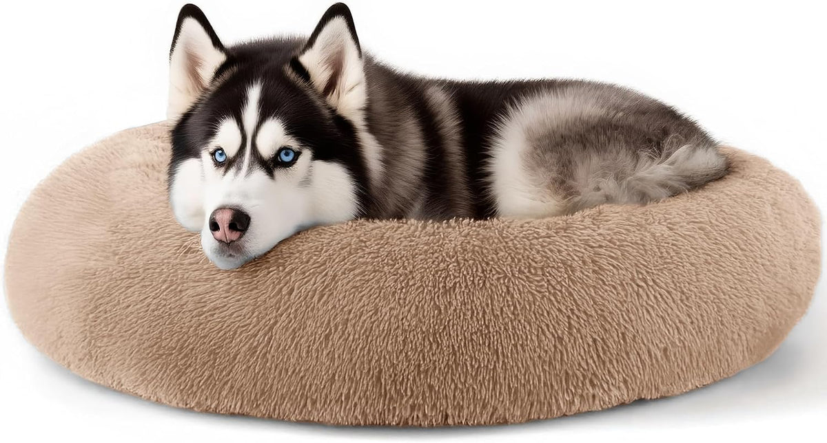 Dog & Cat Bed, 20In Cat Beds for Indoor Cats (Black) - Petguard