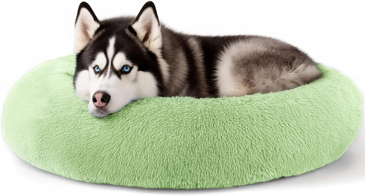 Dog & Cat Bed, 20In Cat Beds for Indoor Cats (Black) - Petguard
