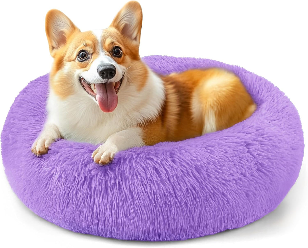 Dog & Cat Bed, 20In Cat Beds for Indoor Cats (Black) - Petguard