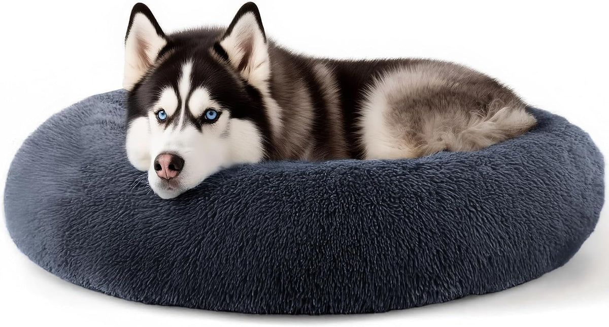 Dog & Cat Bed, 20In Cat Beds for Indoor Cats (Black) - Petguard