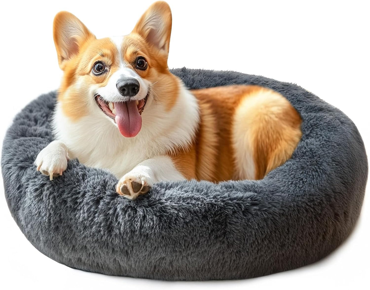 Dog & Cat Bed, 20In Cat Beds for Indoor Cats (Black) - Petguard