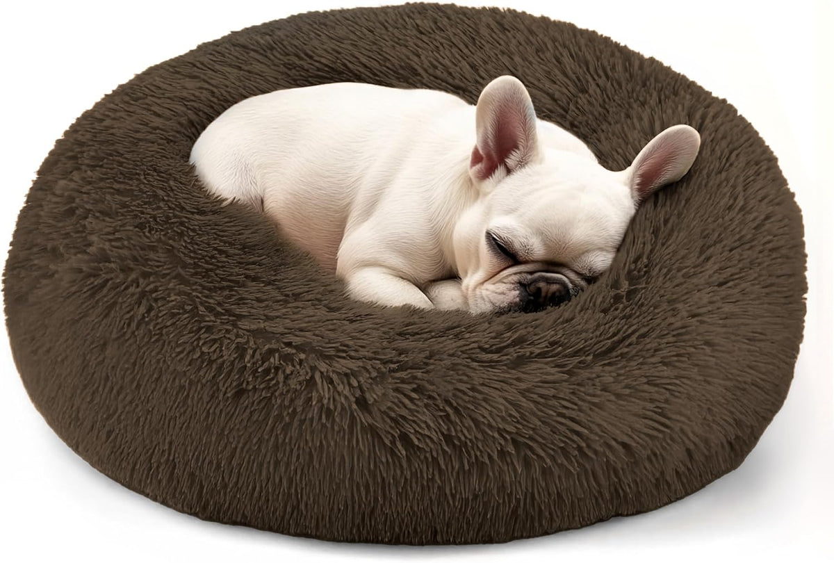 Dog & Cat Bed, 20In Cat Beds for Indoor Cats (Black) - Petguard