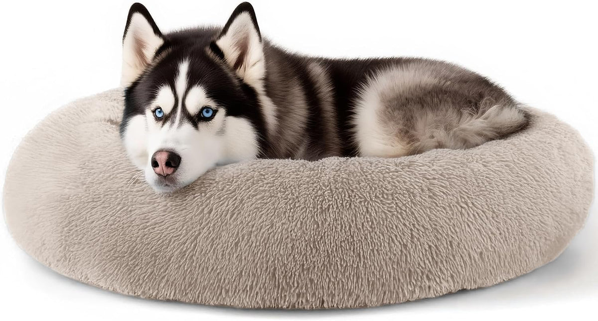 Dog & Cat Bed, 20In Cat Beds for Indoor Cats (Black) - Petguard