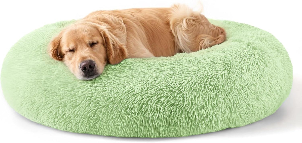 Dog & Cat Bed, 20In Cat Beds for Indoor Cats (Black) - Petguard