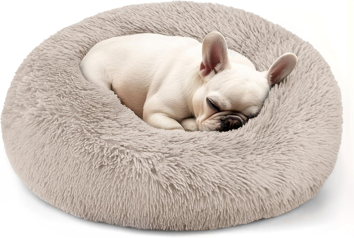 Dog & Cat Bed, 20In Cat Beds for Indoor Cats (Black) - Petguard