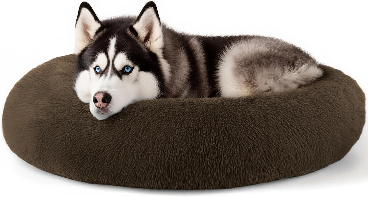 Dog & Cat Bed, 20In Cat Beds for Indoor Cats (Black) - Petguard