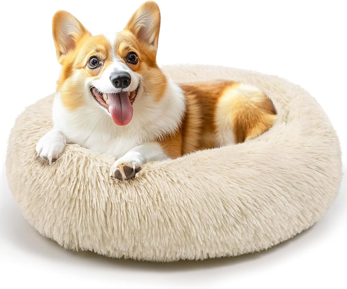 Dog & Cat Bed, 20In Cat Beds for Indoor Cats (Black) - Petguard