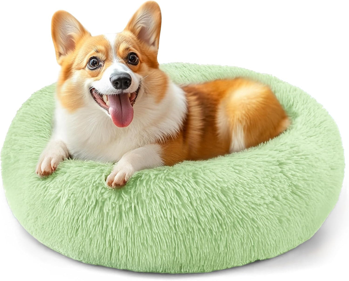 Dog & Cat Bed, 20In Cat Beds for Indoor Cats (Black) - Petguard