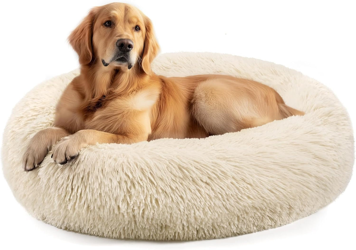 Dog & Cat Bed, 20In Cat Beds for Indoor Cats (Black) - Petguard