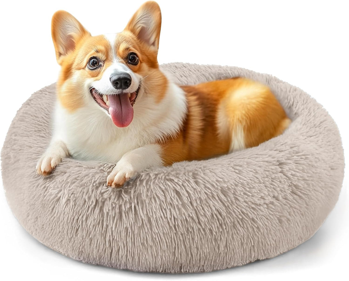 Dog & Cat Bed, 20In Cat Beds for Indoor Cats (Black) - Petguard