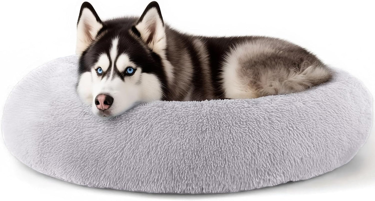 Dog & Cat Bed, 20In Cat Beds for Indoor Cats (Black) - Petguard