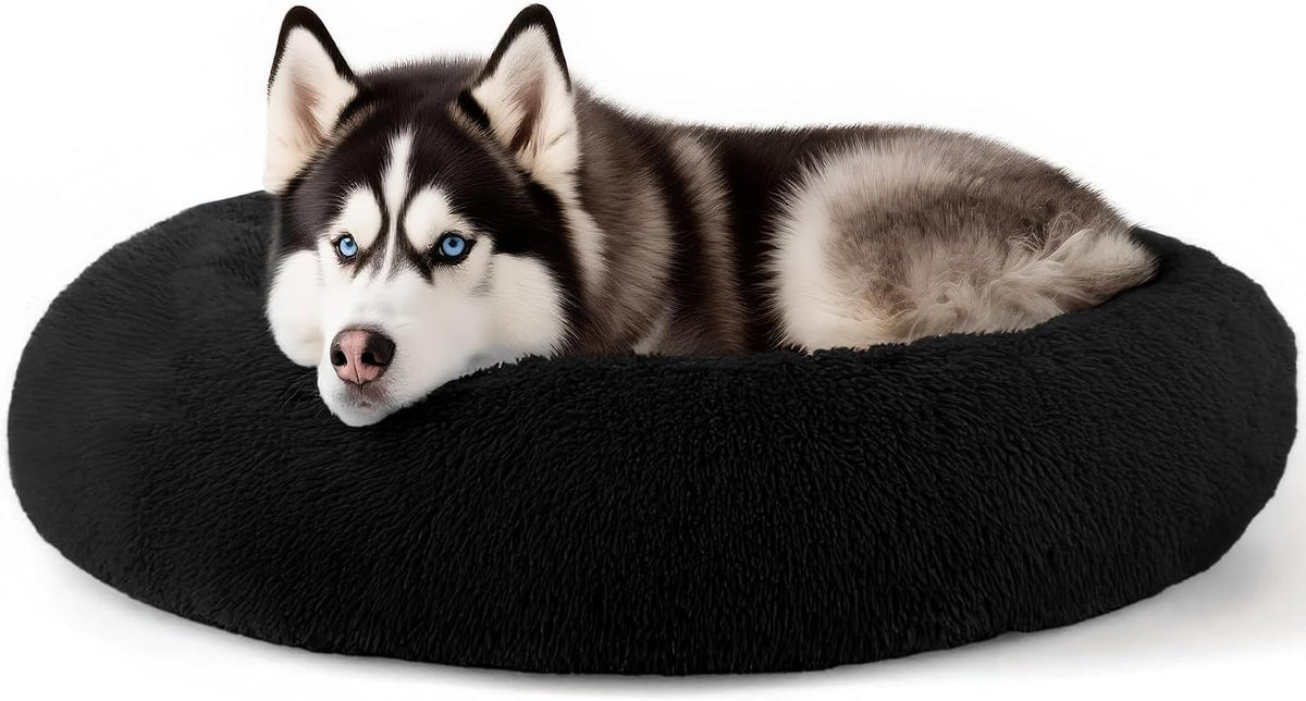 Dog & Cat Bed, 20In Cat Beds for Indoor Cats (Black) - Petguard
