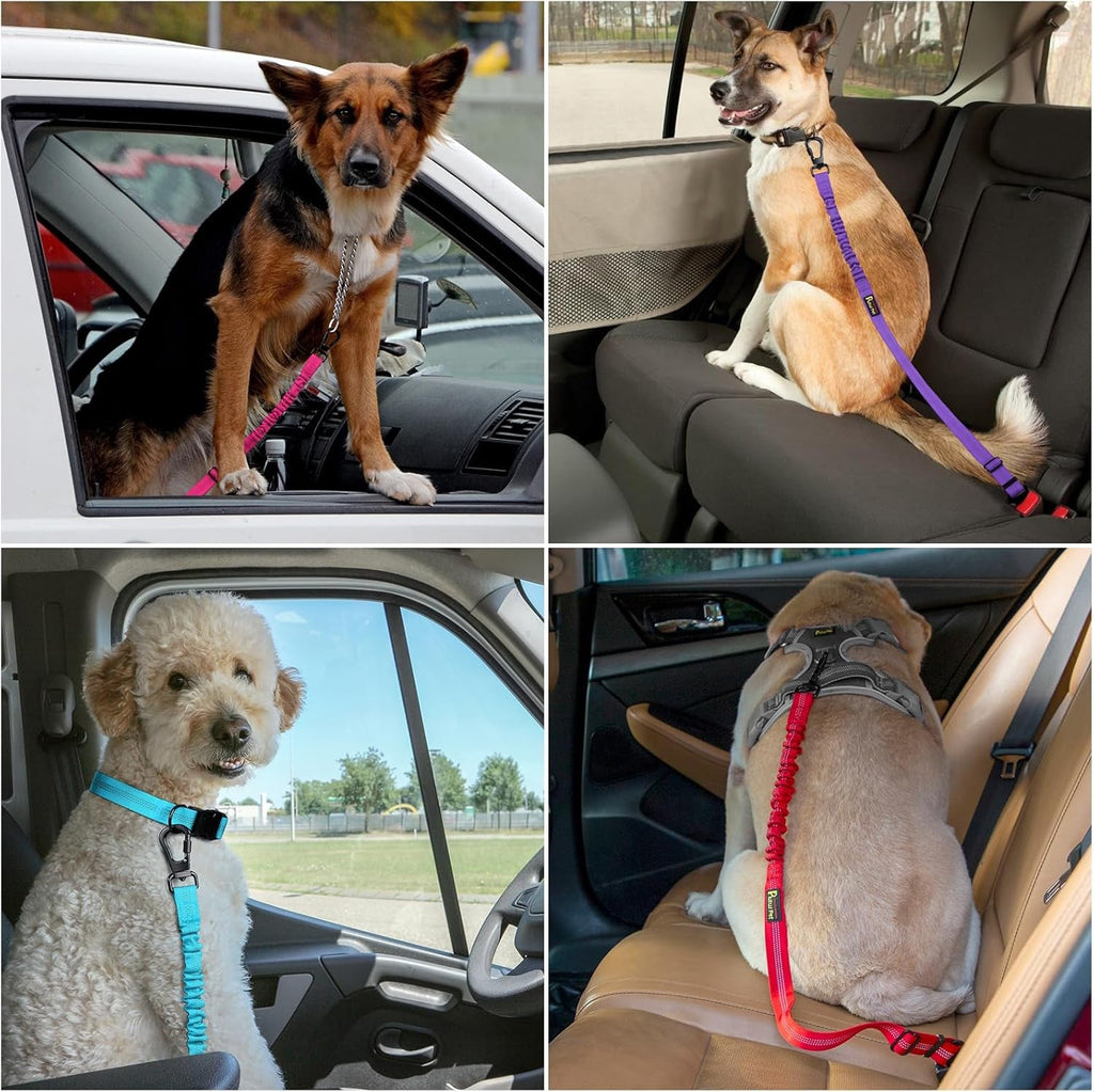 Dog Seat Belt for Car, Adjustable Harness with Elastic Bungee - Petguard