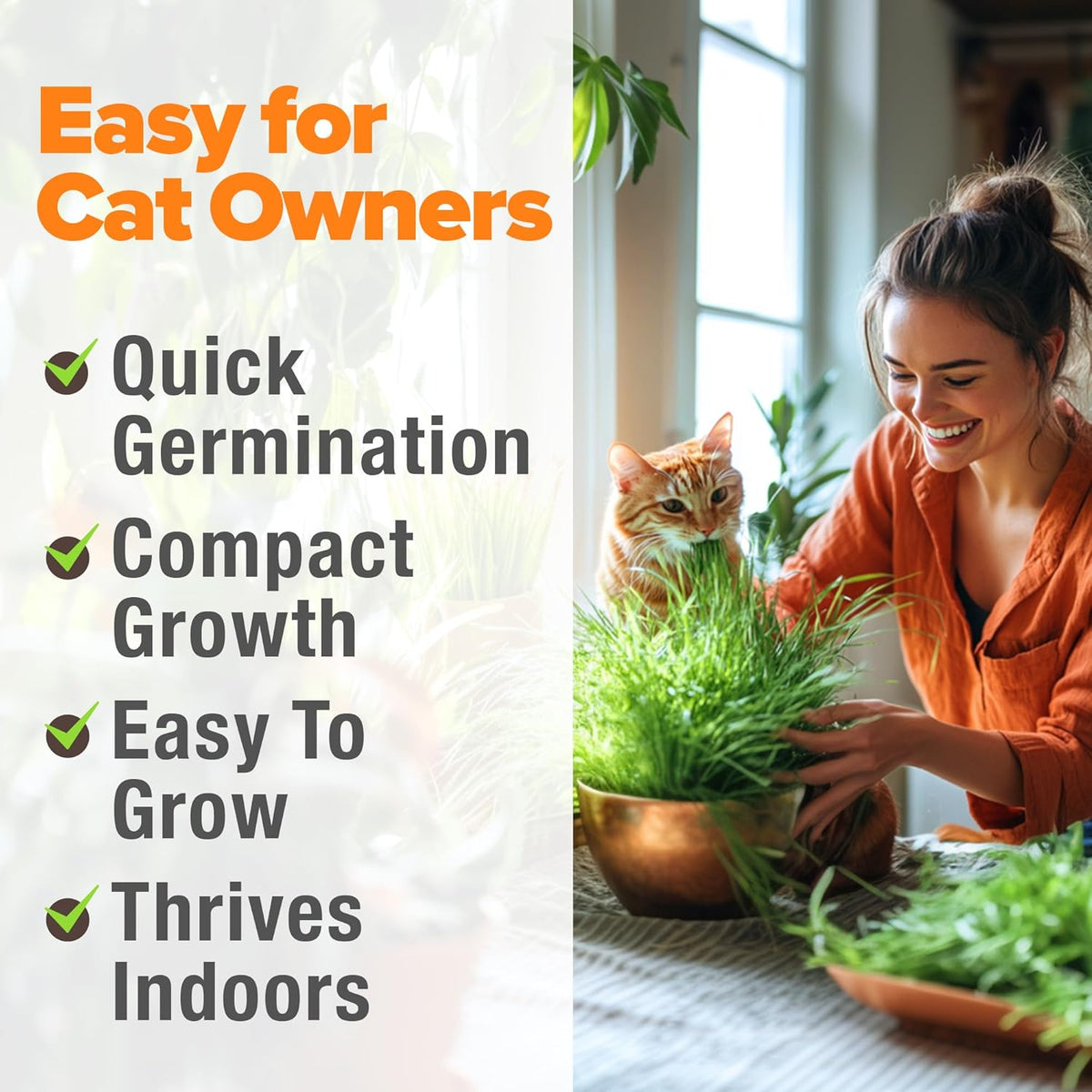 Indoor Cat Grass Refill 3,200+ Seeds Cat Grass Kit Replacement - Petguard