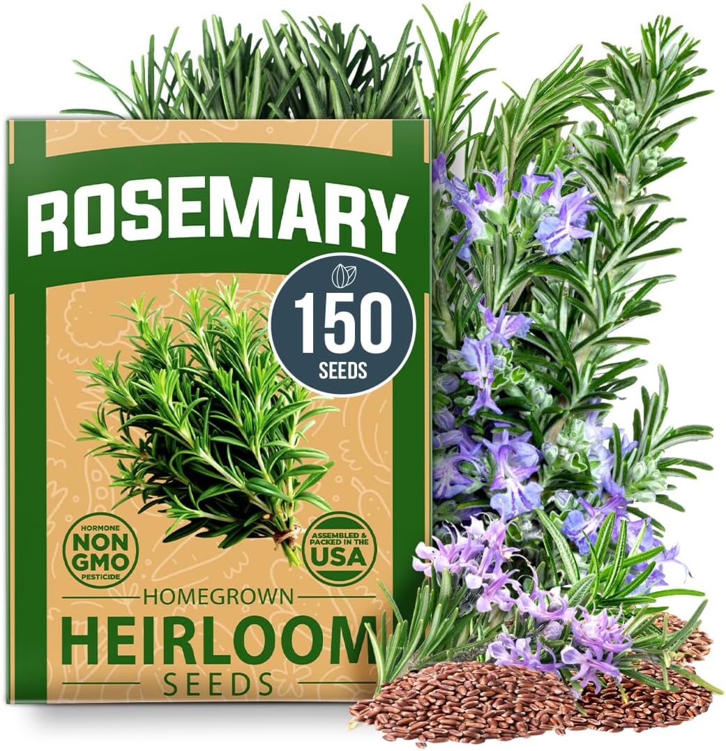 Indoor Cat Grass Refill 3,200+ Seeds Cat Grass Kit Replacement - Petguard