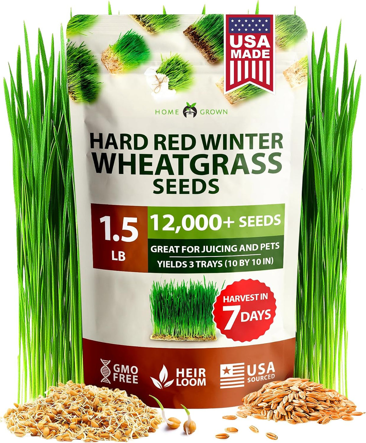 Indoor Cat Grass Refill 3,200+ Seeds Cat Grass Kit Replacement - Petguard