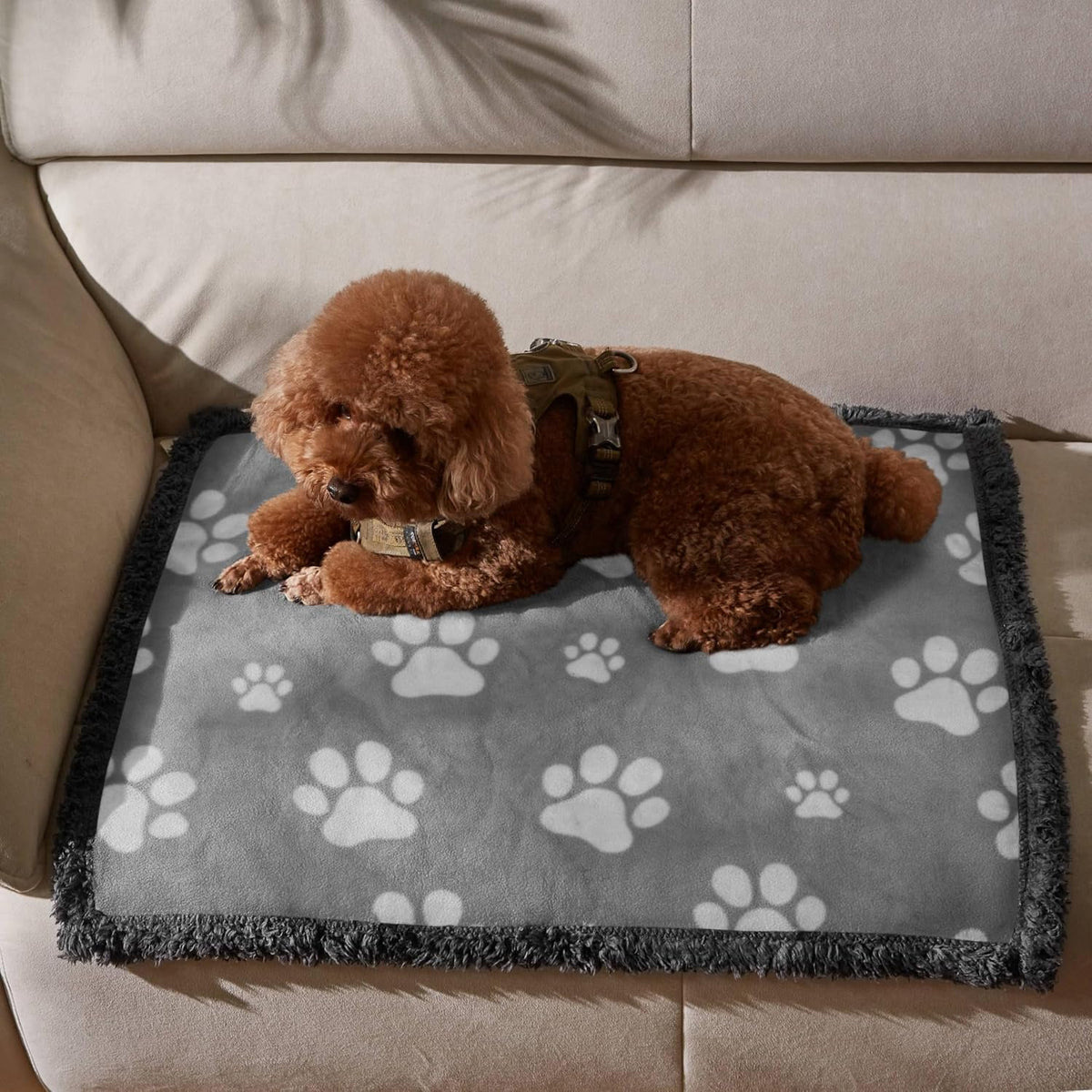 Waterproof Pet Blanket, Reversible Throw for Dogs and Cats - Petguard
